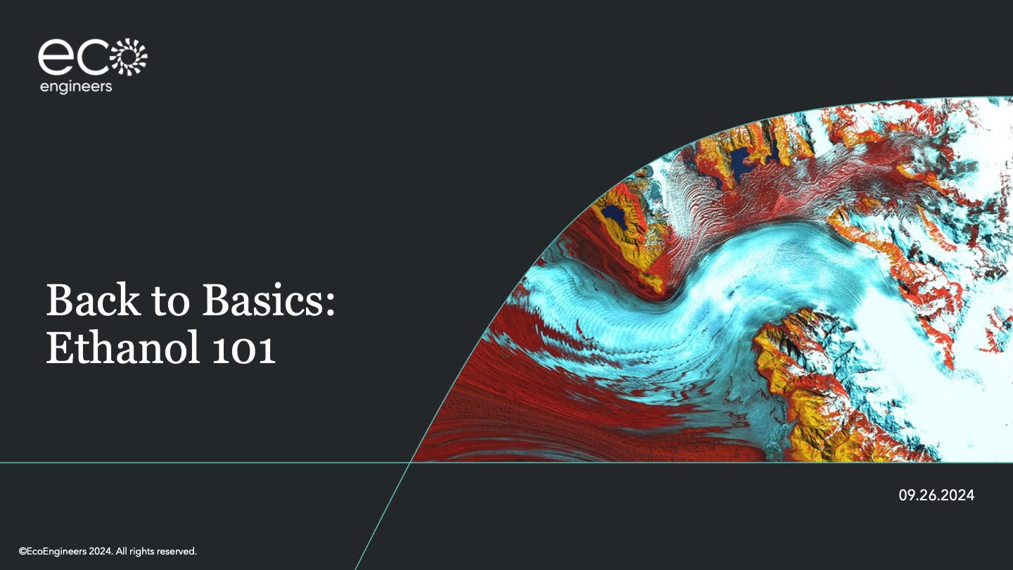 Scope 3 Emissions: Competing with Carbon